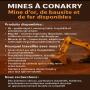 mine a vendre à conakry 