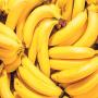 recherche fournisseur / producteur – bananes