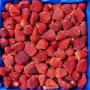 fraise surgelées du maroc a vendre