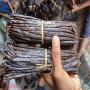 vente des vanille bourbon de madagascar 