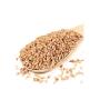 grains de blé en gros propres et séchés