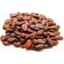 premium madagascar cocoa beans