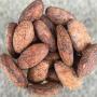 offre fèves de cacao qualité export – fob ci