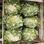 choux fleur de bretagne