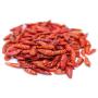 pili pili rouge sec–lot industriel disponible