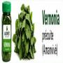 feuilles de lalo ademe kplala en conserves