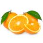 oranges direct producteur maroc 