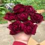 producteur rose et pétales alimentaire