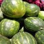 pastèques et melons jaunes (qualité export