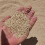 <b>gomme</b> <b>arabique</b> & sésame 