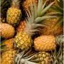 ananas et du pain sucre 