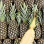 ananas légumes et du miel 