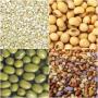 vente de produits agricoles naturels 