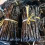 vanille bourbon de madagascar grade a (gour