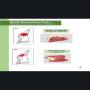 halal meats <b>chicken</b> and beefs 