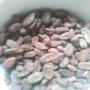 fèves de cacao de madagascar – 100% fin arôme