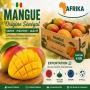 mangues fraîches du sénégal – variété kent