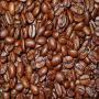 recherche café kouillou robusta madagascar