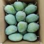 <b>mangue</b> fraîche 