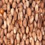 produits tropicaux bénin 