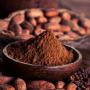 poudre de cacao masse de cacao et tourteau 