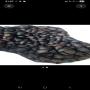 amandes palmiste 