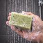savon au moringa — l'arbre mythique africain