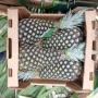 ananas vareite md2 disponible pour vous