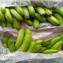 banane variete cavendish disponible pour vous