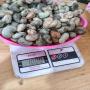 raw cashew nut 