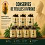 feuilles de legumes d'afrique manioc patet