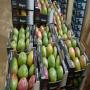 mangue kent