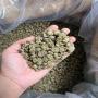 <b>robusta</b> coffee for sale