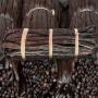 madagascar bourbon vanilla – premium export