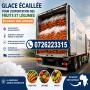 glace écaille & glace en cubes disponible