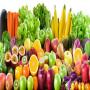 premium spanish <b>fruits</b> sourcing partner – you