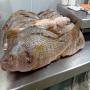 <b>poissons</b> congelés ( qualité premium)