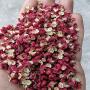 poivre du sichuan igp direct producteur
