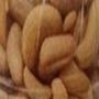 vends amandes de cajou noix de cajou