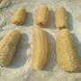 éponge luffa 