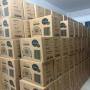 solar fans for sale