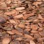 agri <b>fruits</b> et <b>legumes</b> 