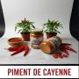 gombos sèche piment de cayenne poivre blanc