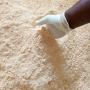 manioc est ses dérivés 