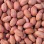 produits agricoles / agroalimentaire