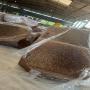 vente de gommes de crêpes 