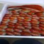poisson
