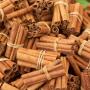 batons de cannelle 