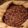 pâte de cacao