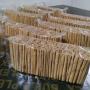 madagascar ceylon <b>cinnamon</b> <b>sticks</b> 